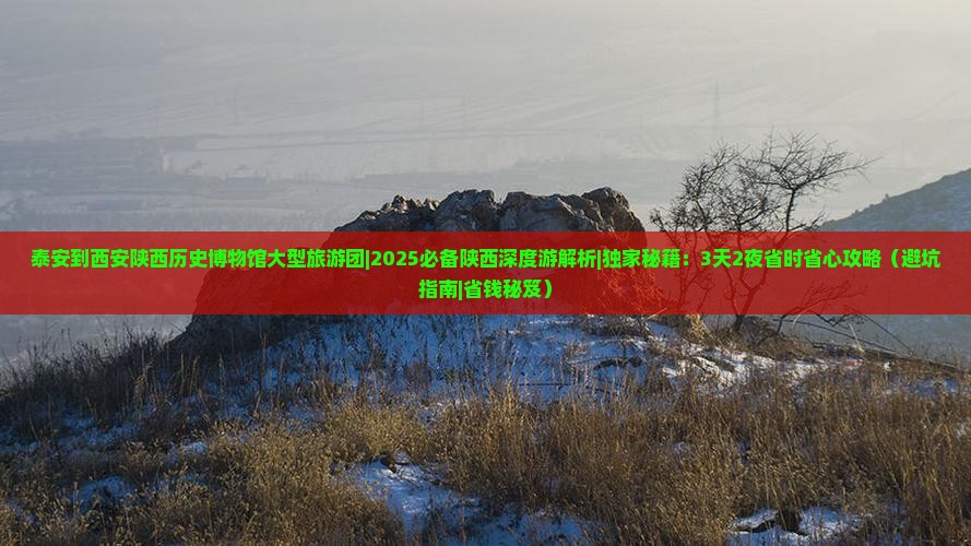 泰安到西安陕西历史博物馆大型旅游团