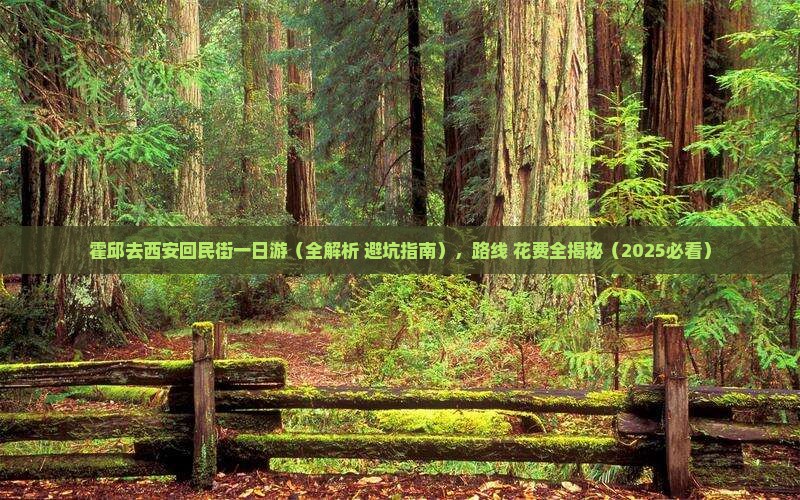 霍邱去西安回民街一日游