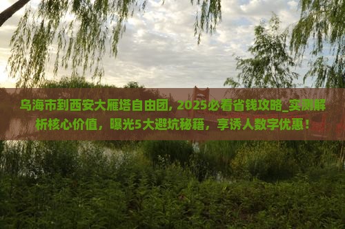 乌海市到西安大雁塔自由团