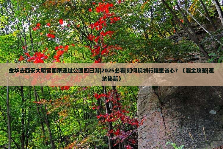 金华去西安大明宫国家遗址公园四日游