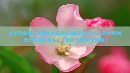 金华去西安大明宫国家遗址公园四日游