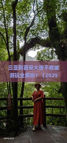 三亚到西安大唐不夜城必去地