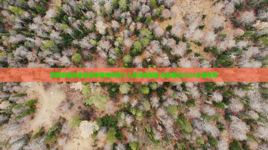 邵阳到西安秦始皇帝陵博物院个人游