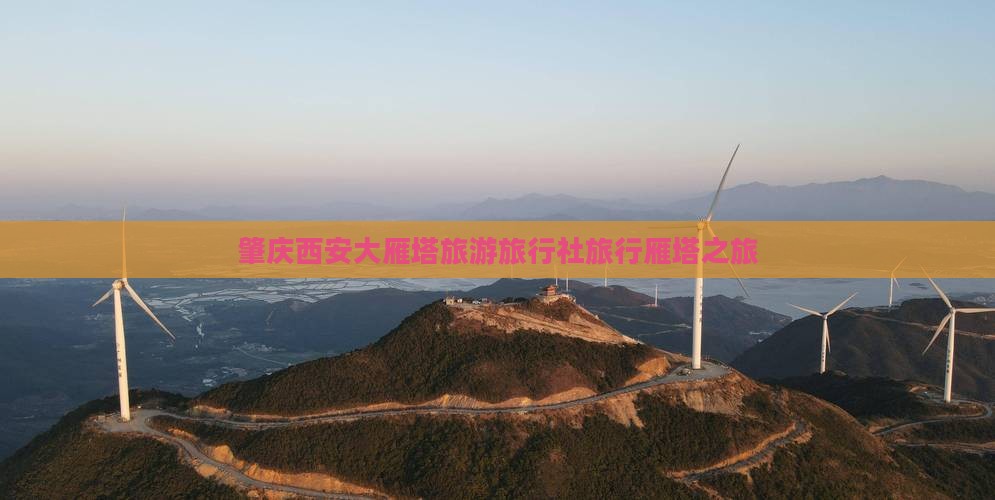 肇庆去西安大雁塔旅行社