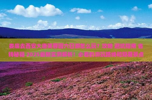 娄底去西安大唐芙蓉园六日游