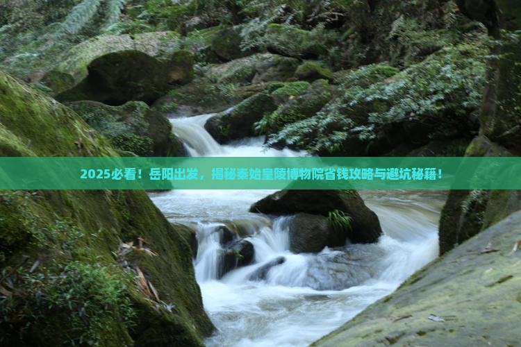 岳阳到西安秦始皇帝陵博物院旅行社