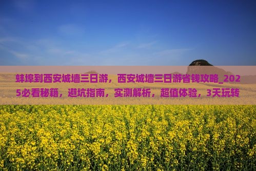 蚌埠到西安城墙三日游