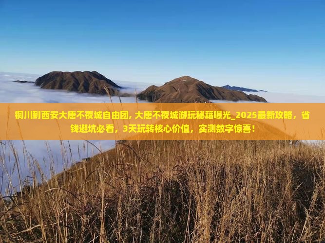 铜川到西安大唐不夜城自由团