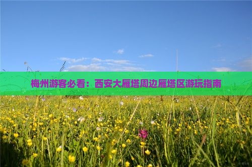 梅州到西安大雁塔哪里玩