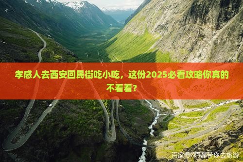 孝感去西安回民街旅游小吃