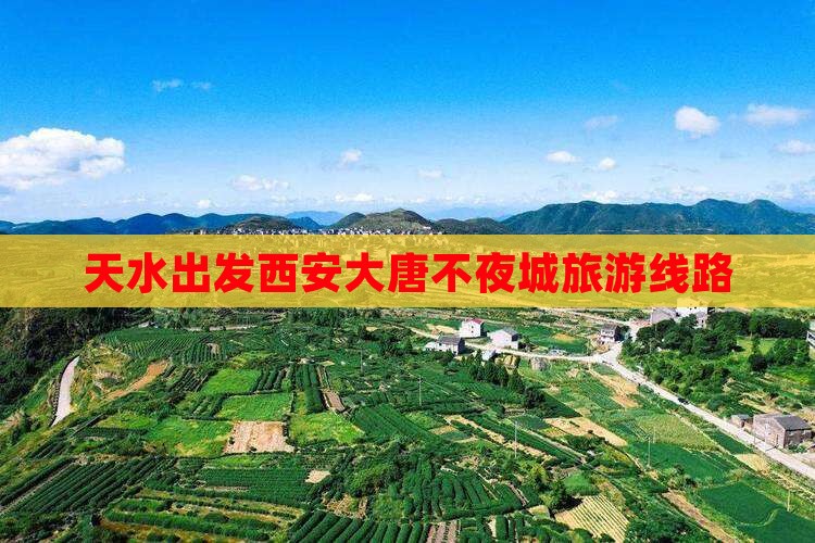 天水去西安大唐不夜城旅行社
