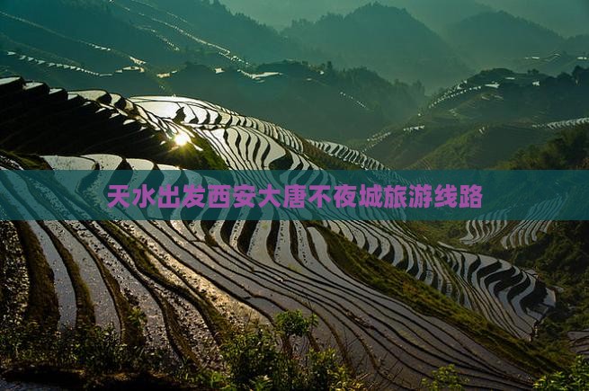 天水去西安大唐不夜城旅行社