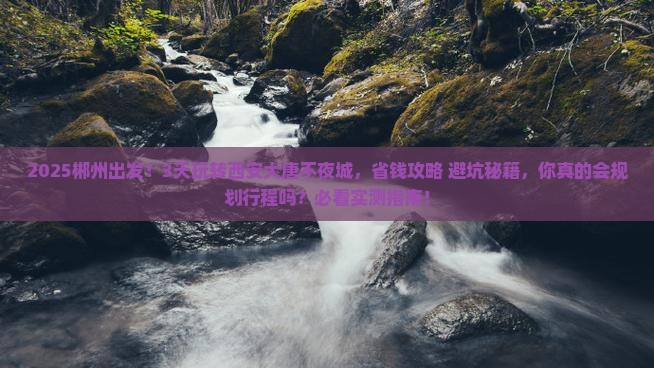 郴州到西安大唐不夜城三日游