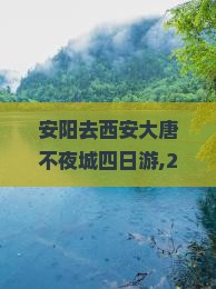 安阳去西安大唐不夜城四日游