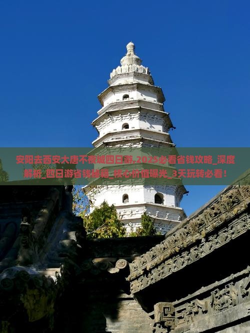 安阳去西安大唐不夜城四日游