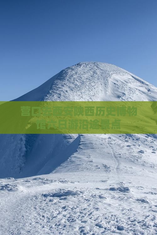 营口去西安陕西历史博物馆六日游