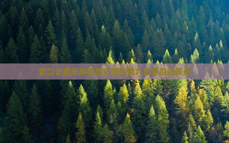 营口去西安陕西历史博物馆六日游