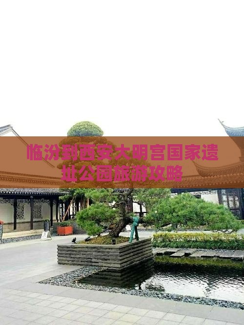 临汾到西安大明宫国家遗址公园自由团