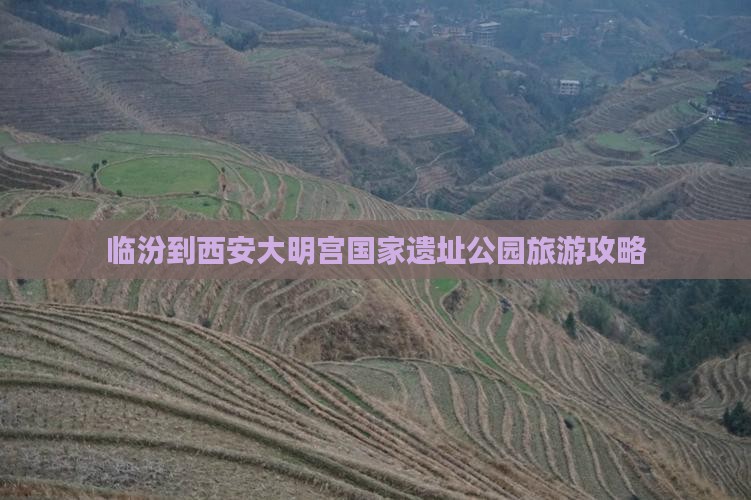 临汾到西安大明宫国家遗址公园自由团