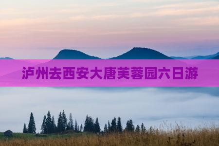 泸州去西安大唐芙蓉园六日游