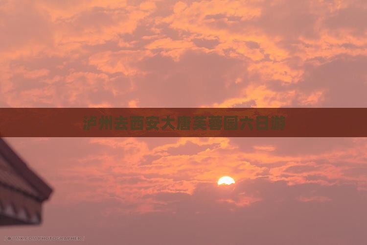泸州去西安大唐芙蓉园六日游
