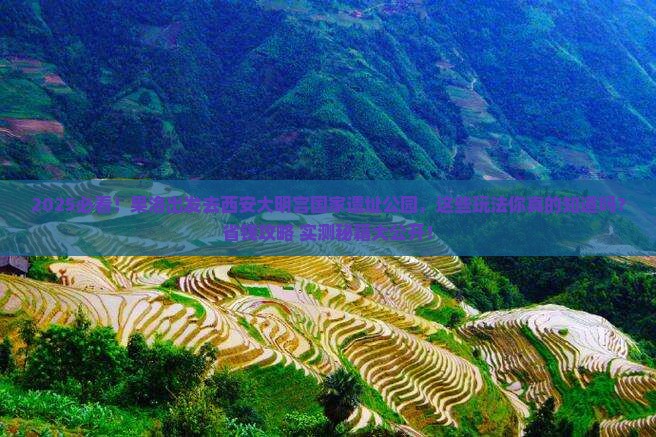果洛到西安大明宫国家遗址公园哪里玩