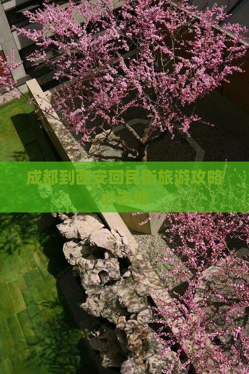 成都到西安回民街必去地