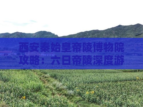 湘潭去西安秦始皇帝陵博物院六日游