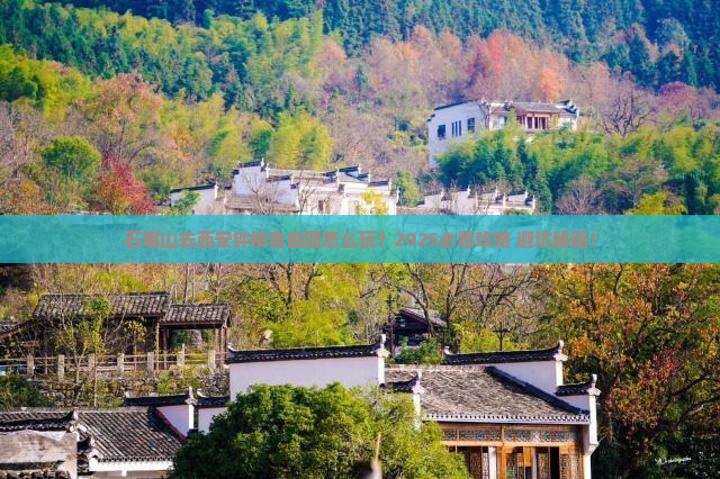 石嘴山去西安钟楼自由团
