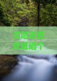 沈阳去西安城墙个人游