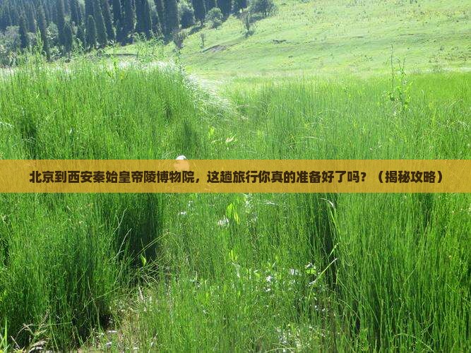 北京到西安秦始皇帝陵博物院旅行社