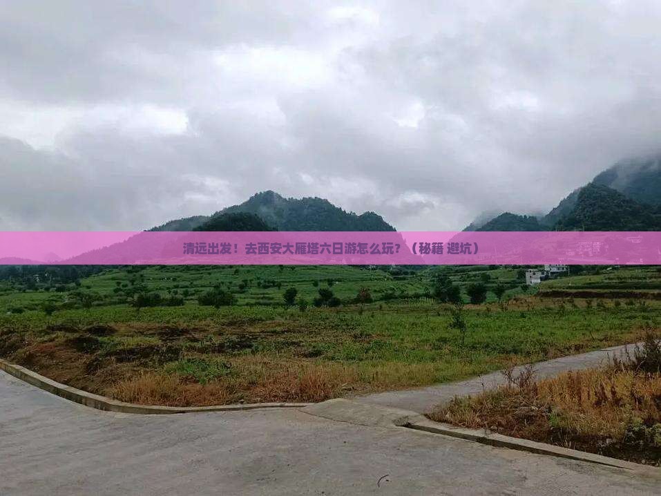 清远去西安大雁塔六日游