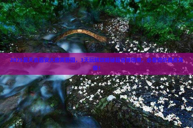 夏天去西安大唐芙蓉园旅行社