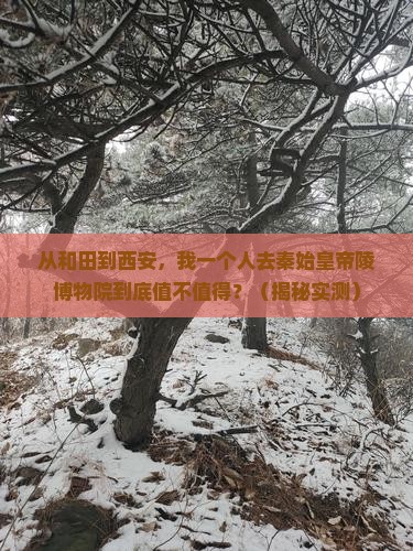 和田去西安秦始皇帝陵博物院个人游