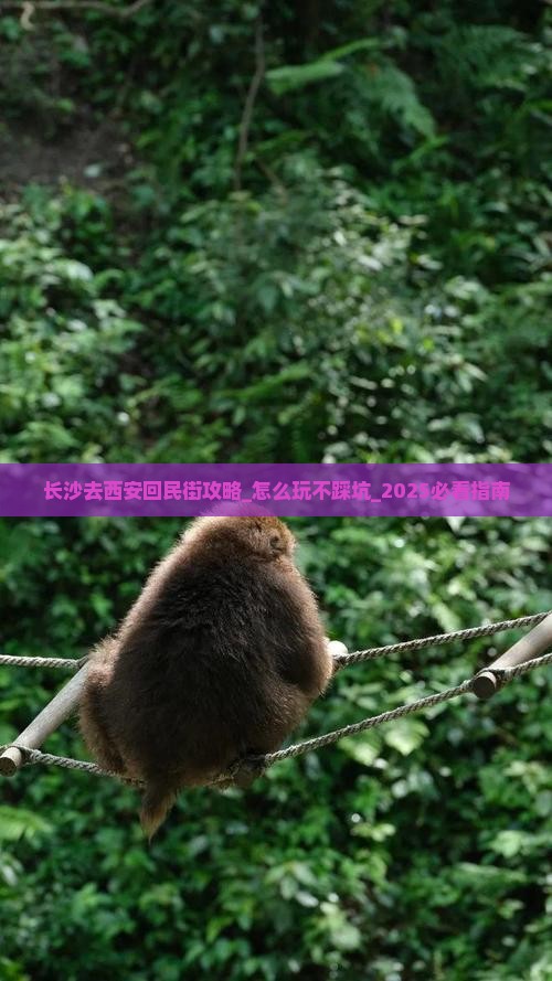 长沙去西安回民街攻略