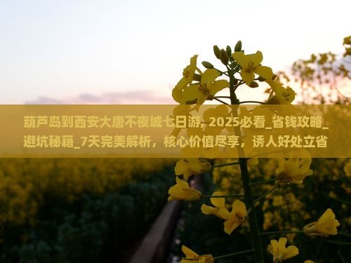 葫芦岛到西安大唐不夜城七日游