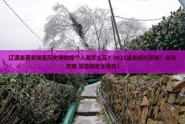 辽源去西安陕西历史博物馆个人游
