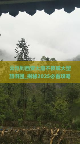 云浮到西安大唐不夜城大型旅游团