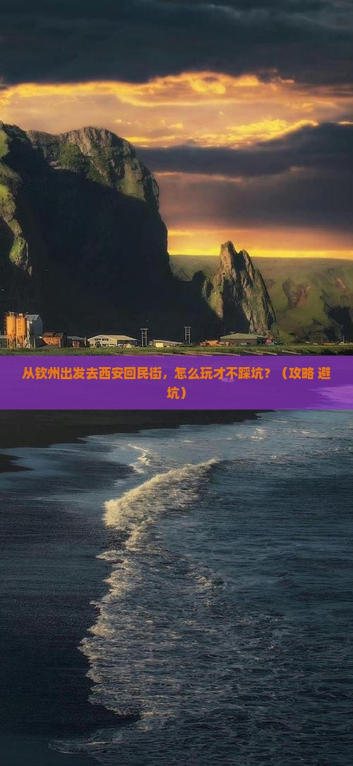 钦州去西安回民街哪里玩