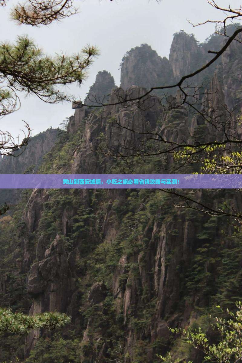 黄山到西安城墙旅游小吃