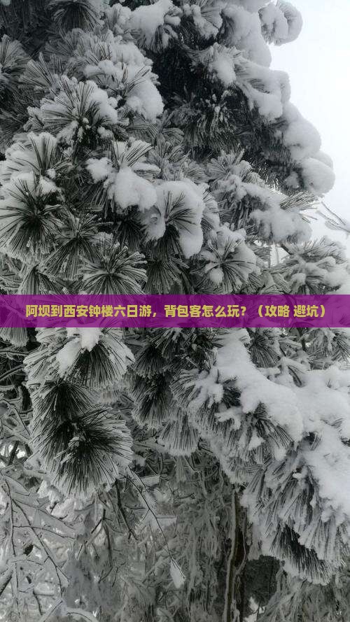 阿坝到西安钟楼六日游