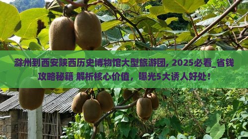 滁州到西安陕西历史博物馆大型旅游团 滁州到西安陕西历史博物馆大型旅游团