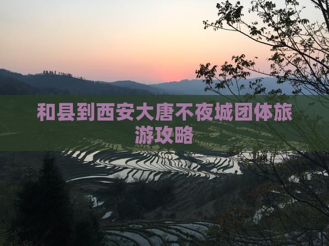 和县到西安大唐不夜城团体旅游