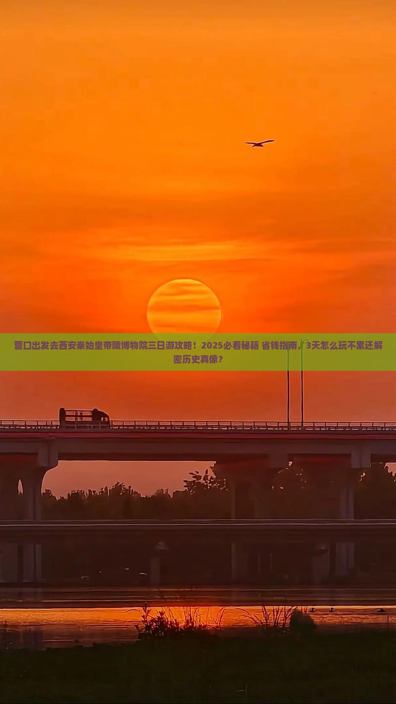 营口去西安秦始皇帝陵博物院三日游