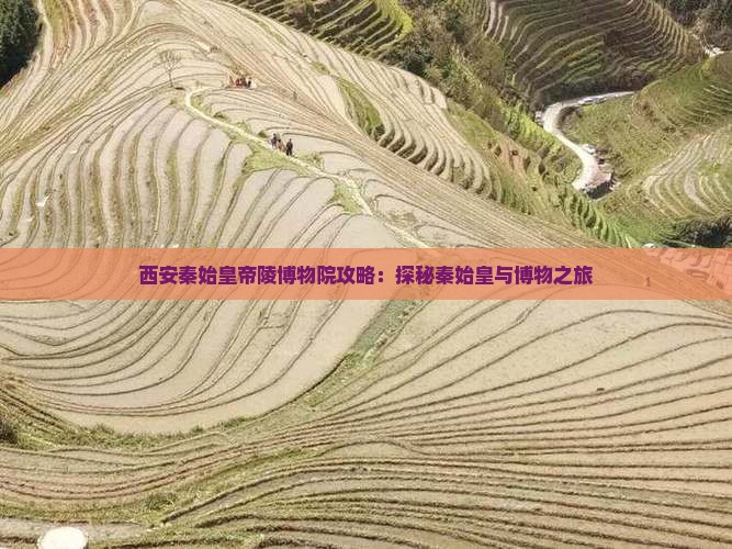 白银去西安秦始皇帝陵博物院攻略