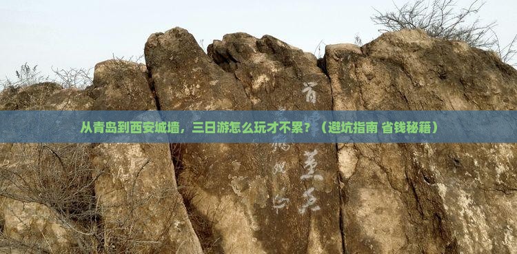 青岛去西安城墙三日游