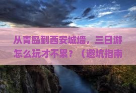 青岛去西安城墙三日游