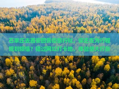石家庄去西安回民街旅行社