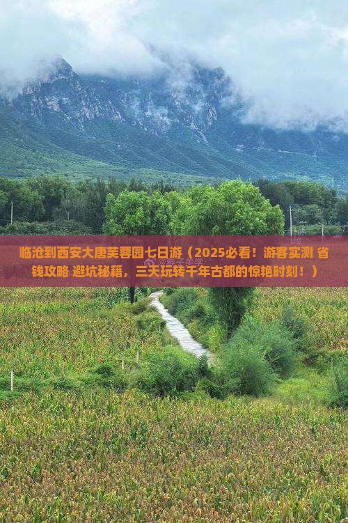 临沧到西安大唐芙蓉园七日游