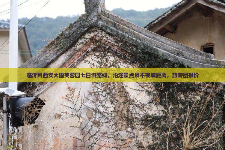 临沂到西安大唐芙蓉园七日游